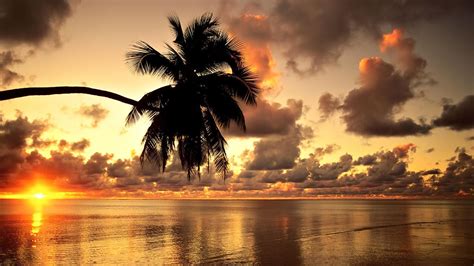 Tropical Sunset Beach Beautiful Scenery Wallpapers Beach Pictures
