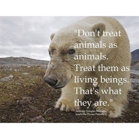 Inspirational Animal Rights Quotes - ShortQuotes.cc
