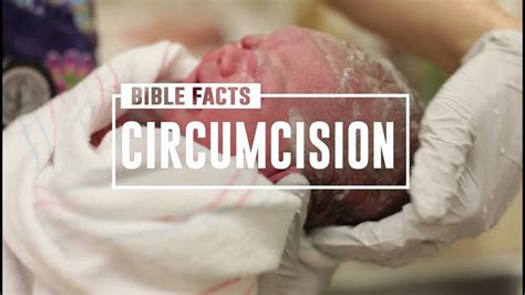 Bible Fact Circumcision On The 8th Day Of Life Was Stated Before The Di Bible Facts A Day