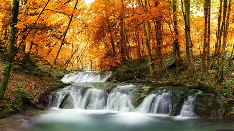 K Wallpaper Nature Scene Hd Nature Scenes Nature Background Images Forest Waterfall