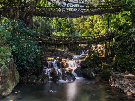 Nongriat Double Decker Living Root Bridge Natural Waterfalls Top Tours