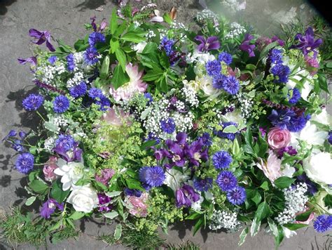 Echinacea, known as an herbal remedy to fight the common cold, provides brilliant color to any garden. Tammy's blue, pink and white wedding flowers - Rough Acre ...