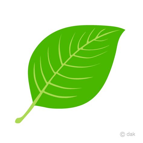 Download High Quality Leaves Clipart Green Transparent Png Images Art