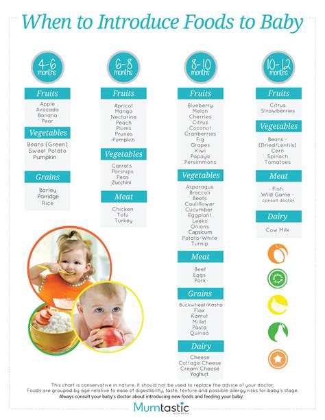 Check spelling or type a new query. Introducing Solids- A Month by Month Schedule Free Printable