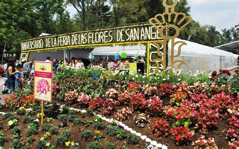 Weekend Plan The Flower Fair Returns San Ángel 2022