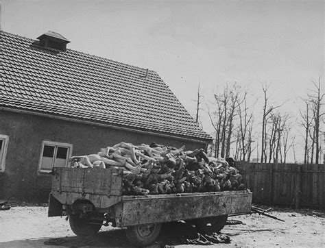 A Wagon Is Piled High With The Bodies Of Former Prisoners In The Newly