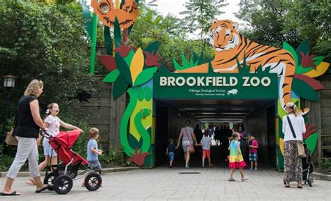 Chicago Zoological Society Brookfield Zoo Is Open Every Day