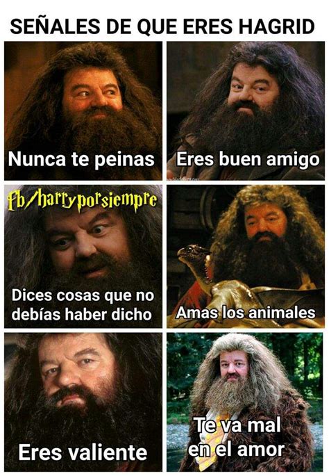 Memes | •Harry Potter• Español Amino