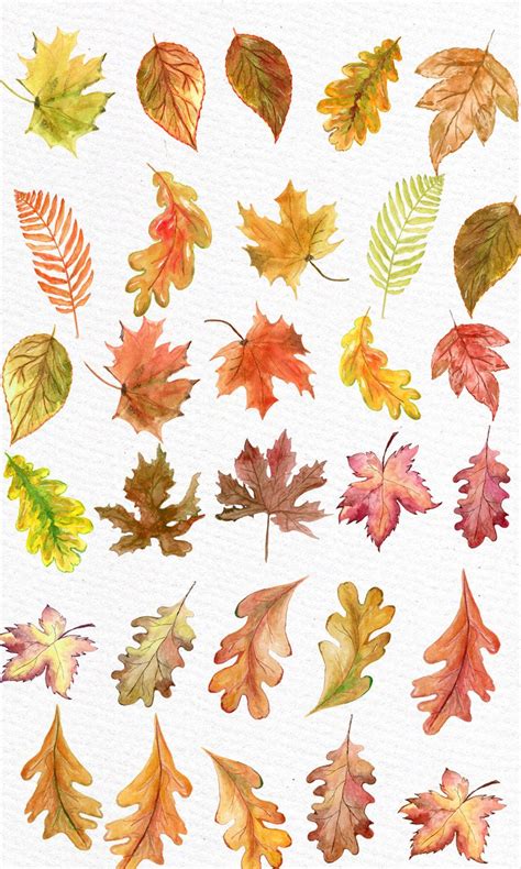 Watercolor Leaves Clipart Autumn Leaves Clipart Etsy Fall Watercolor