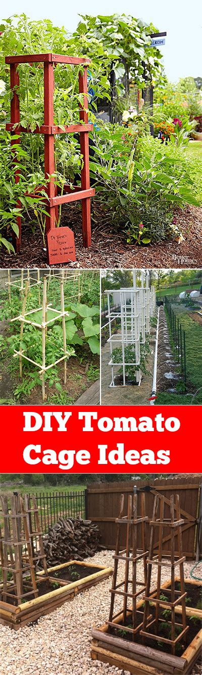 Diy Tomato Cages Ideas