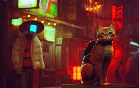 How To Play Cyberpunk Cat Game Stray For Free On Ps4 And Ps5