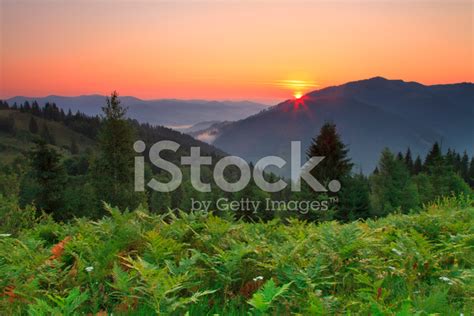 Beautiful Summer Landscape Stock Photo Royalty Free Freeimages