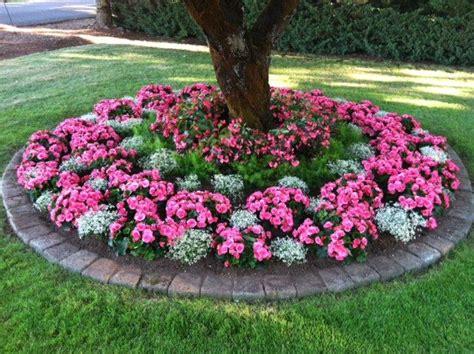 Stunning Begonia Bed Front Yard Garden Front Yard