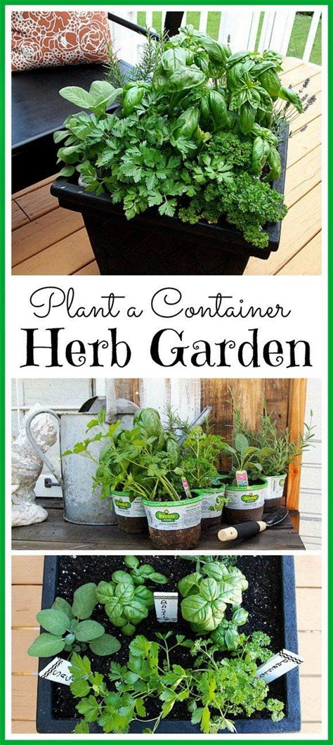 Not only is a garden an excellent way to spruce up your deck or backyard landscaping, but they are also great diy projects for homeowners who enjoy. Best DIY Projects : 6 Great tips for planting a container herb garden. This is a great idea for ...