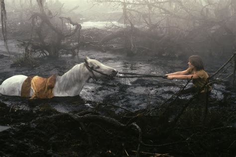 Artax Sinking Into The Swamp Of Sadness In The Neverending Story