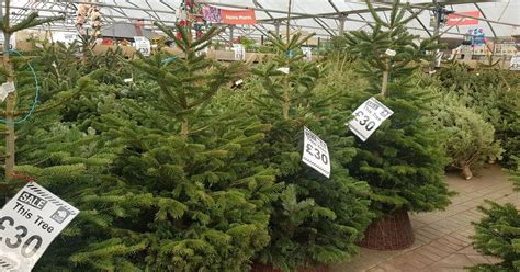 Christmas Trees For Sale Near Me Real - Merry Christmas 2021