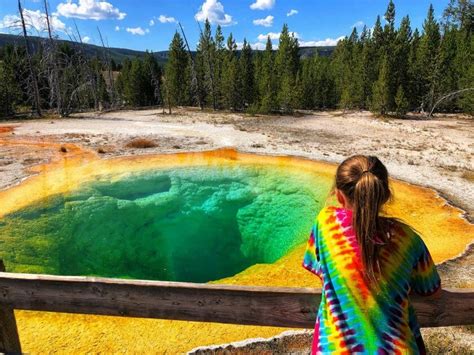 Planning A Trip To Yellowstone 15 Things To Know