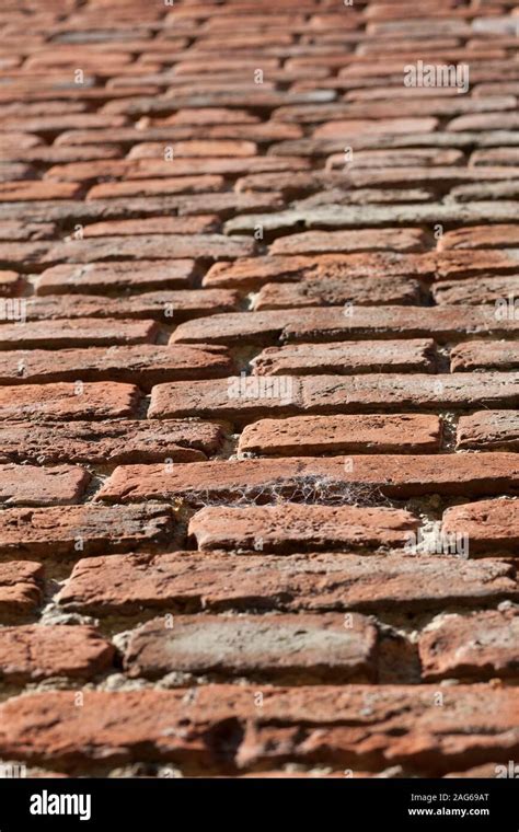 Angled Upward Detail Shot Of English Brick Wall Texture In A Flemish