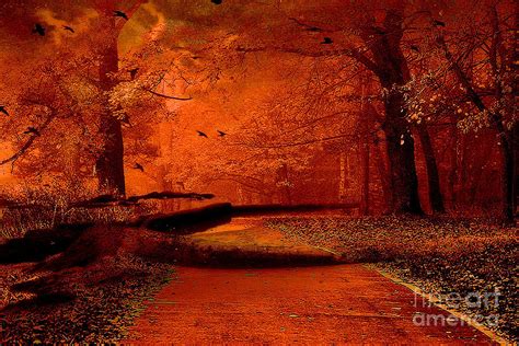 Surreal Fantasy Autumn Fall Orange Woods Nature Forest Photograph By