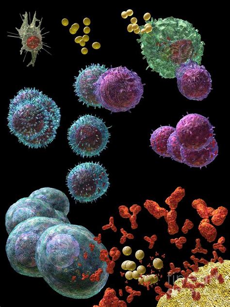 Immune Response Antibody 5 Digital Art By Russell Kightley Pixels