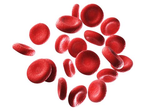Polycythemia Or Too Many Red Blood Cells