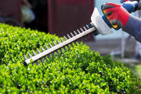 Top Rated Battery Powered Hedge Trimmer The All Electric Lawn