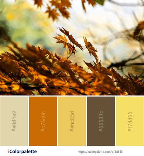 Color Palette ideas from 191 Autumn Images | iColorpalette (с изображениями) | Цветовые ...