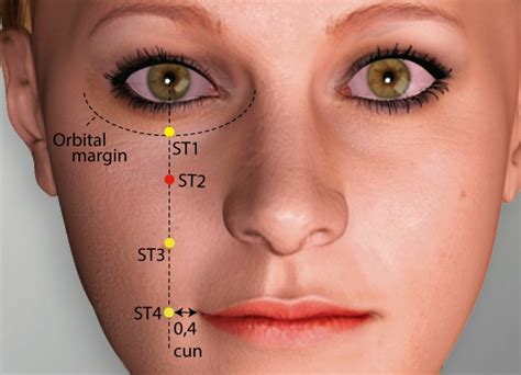 St 1 Chengqi Stomach Meridian Acupuncture Point Acumeridianpoints