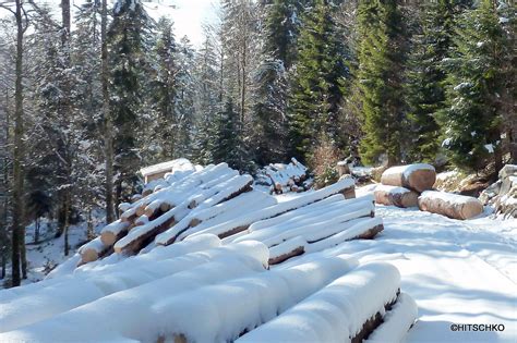 Emmentaler Holz Christian Kobel Flickr