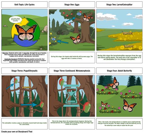 The Life Cycle Of A Butterfly Storyboard By 34080ac5