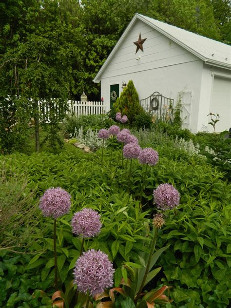 Pams English Cottage Garden After The Rain