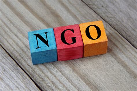 Ngo非政府組織とは？npoとの違いや具体例、活動内容を簡単に解説