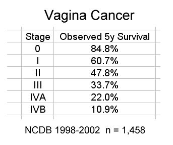 Cancer Of The Vagina