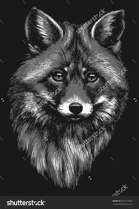 Black And White Fox Sketch Fox Sketch White Fox Sketches