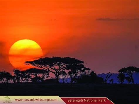 Experience Of A Life Time Bestcampingsafari Welcomeafrica