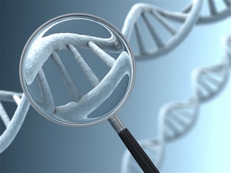 Genetic Testing To Predict Cancer Likelihood Palo Verde Cancer Center
