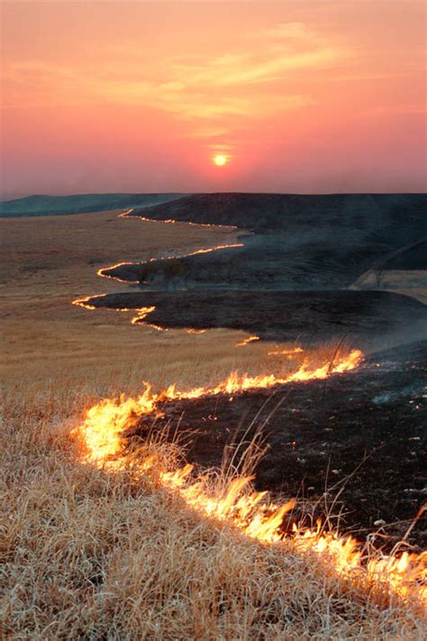 Photograph Entitled Spring Range Burn 2 Located In The Kansas Flint Hills