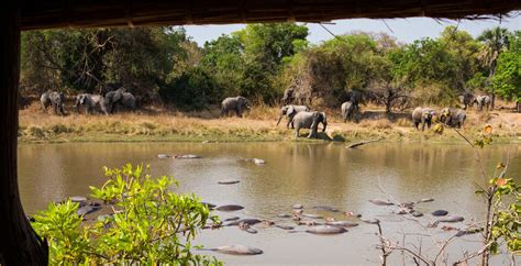 African Safari Destinations Luxury Bespoke Travel