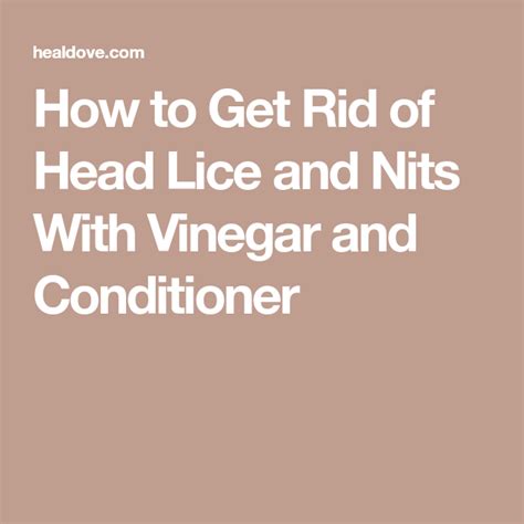 How To Get Rid Of Head Lice And Nits With Vinegar And Conditioner