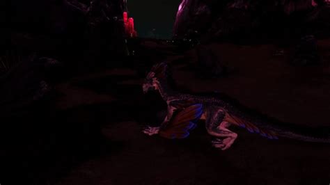 How To Tame A Rock Drake In Ark Survival Evolved Gamepur