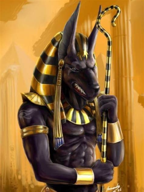 Anubis El Dios De Egipto Kulturaupice