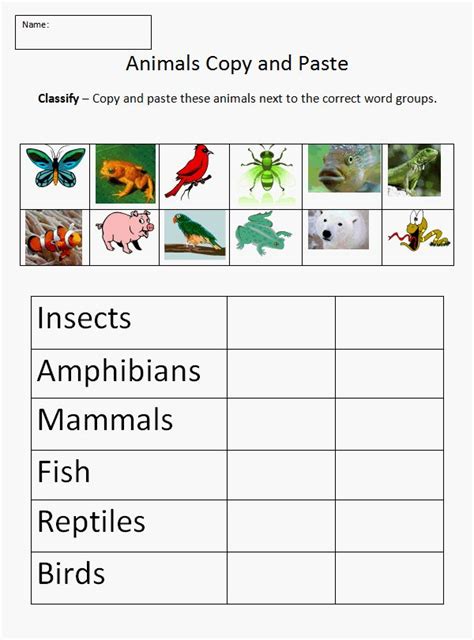 Students classify animals as insects, birds, fish, reptiles and mammals. Amphibian clipart animal classification - Pencil and in ...