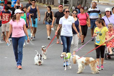 Juegos Charlas Y Espectáculos Formarán Parte De Una Caminata Canina En