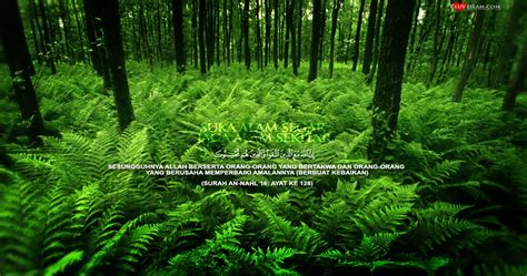 Poster cintailah alam sekitar page 1 line 17qq com. Cintailah Alam Sekitar: Sejenak Di Sini