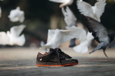 Jeff Staple X Nike Sb「black Pigeon」dunk Low 滑板影片 Hypebeast