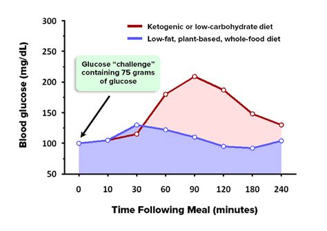 Stephen phinney and the virta team‍. Ketosis and the Ketogenic Diet: Debunking 7 Misleading