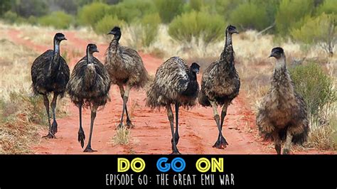 What exactly was the great emu war? The Great Emu War - Do Go On Comedy Podcast (ep 60) - YouTube