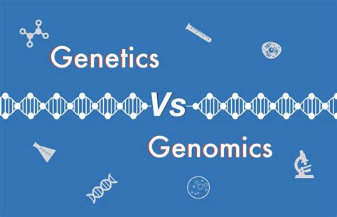 Difference Between Genetics Vs Genomics Genetic Education