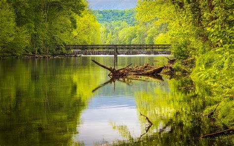 Holston River Spring Reflections By Garys760