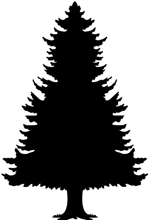 Christmas tree tree line christmas tree cartoon artificial christmas tree line drawing christmas tree drawing christmas we provide millions of free to download high definition png images. Conifer Tree Silhouette | Free vector silhouettes